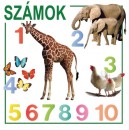  - Sz�mok