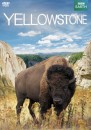  - Yellowstone