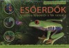 Joe Fullman - Es�erd�k