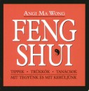Angi Ma Wong - Feng shui