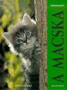 Jean-Luc Renck - A macska