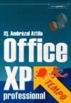 Ifj. Ambr�zai Attila - Office XP professional