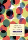 Vir�gv�lgyi P�ter - A tipogr�fia mesters�ge sz�m�t�g�ppel