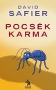 David Safier - Pocs�k karma