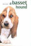 Juh�sz Katalin - A basset hound