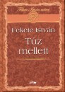 Fekete Istv�n - T�z mellett