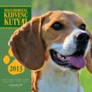  - Magyarorsz�g kedvenc kuty�i 2013