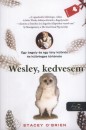 Stacey O'Brien - Wesley, kedvesem