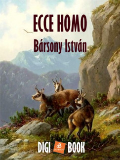 Brsony Istvn - Ecce Homo