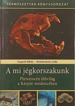 Gasparik Mihály - Medzihradszky Zsófia - A mi jégkorszakunk
