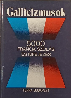 Rubin Pter   (Szerk.) - Vgh Bla   (Szerk.) - Gallicizmusok