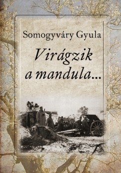 Somogyvry Gyula - Virgzik a mandula...