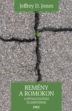 Jeffrey D. Jones - Rem�ny a romokon