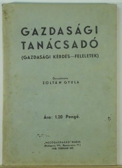 Zoltn Gyula - Gazdasgi tancsad