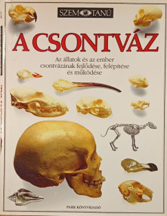 Alex Arthur - A csontváz