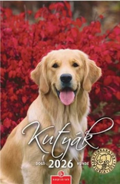 Kutyák falinaptár - 21x32 cm - 2026