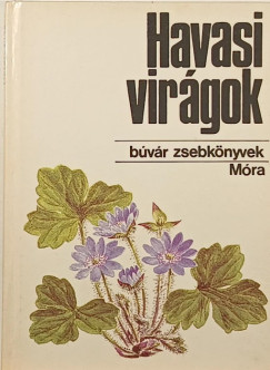 Ksa Gza - Havasi virgok