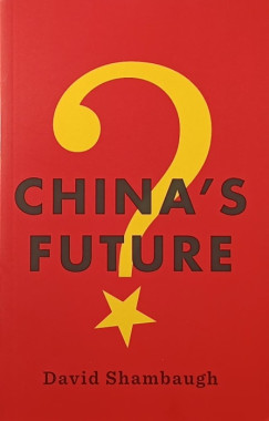 David Shambaugh - China's Future