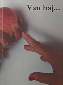 Fekete Zsolt - Van baj...