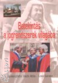 Betekints a jogrendszerek vilgba