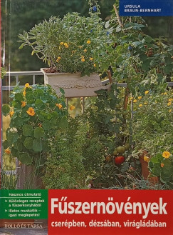 Ursula Braun-Bernhart - Fszernvnyek