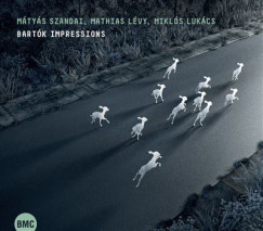 Lévy Mathias - Lukács Miklós - Szandai Mátyás - Bartók Impressions - CD