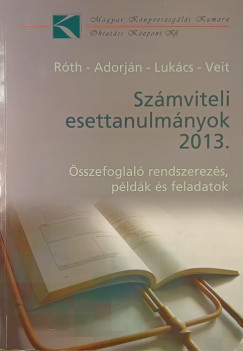 Sz�mviteli esettanulm�nyok 2013.