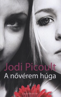 Jodi Picoult - A nvrem hga