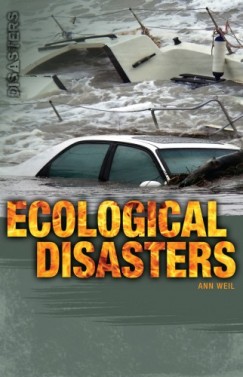 Ann Weil - Ecological Disasters