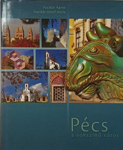 Fucskr Jzsef Attila - Fucskr gnes - Pcs a sokszn vros