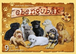 Jakab Zsolt - Sebő Gyula - Ebengubák (CD melléklettel)