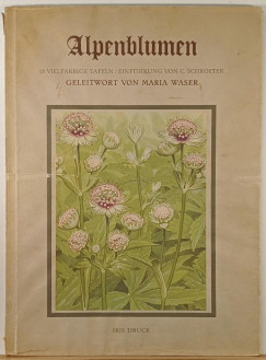 Alpenblumen