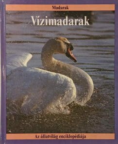 John Stidworthy - Vízimadarak