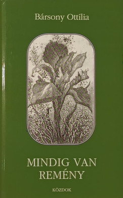 Brsony Ottilia - Mindig van remny