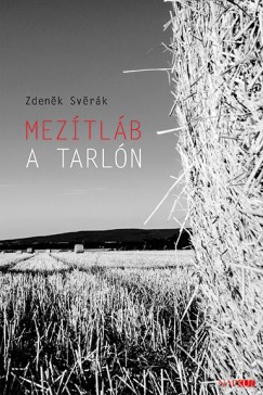 Zdenk Svrk - Meztlb a tarln