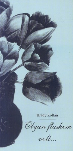 Br�dy Zolt�n - Olyan flashem volt...