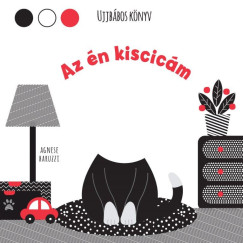 Az n kiscicm