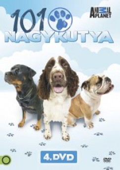 101 Nagykutya 4. - DVD