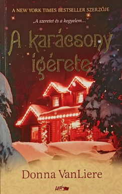Donna VanLiere - A karácsony ígérete