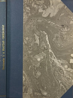 Zmborszky Ilona - A magyar orszghz - Le parlement hongrois