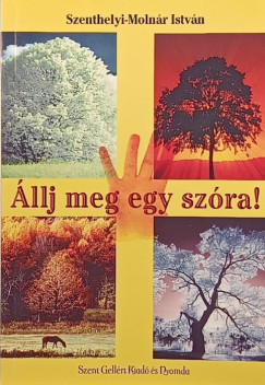 Szenthelyi-Molnár István - Állj meg egy szóra!