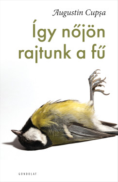 Augustin Cupsa - gy njn rajtunk a f