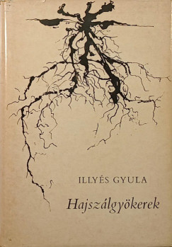 Illy�s Gyula - Hajsz�lgy�kerek