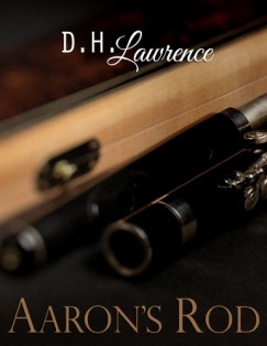 D. H. Lawrence - Aarons Rod