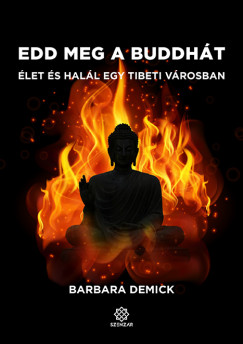 Barbara Demick - Edd meg a Buddht