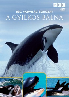 BBC Vadvilg sorozat - A gyilkos blna - DVD