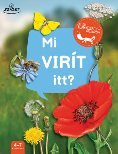 Mi vir�t itt?