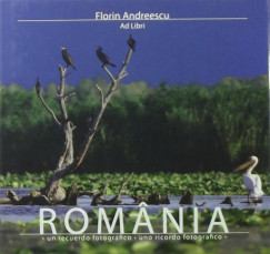 Florin Andreescu - Romania