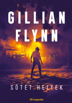 Gillian Flynn - Stt helyek