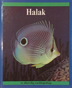 Jill Bailey - Halak